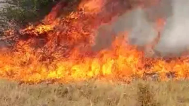 Vatra prijeti kućama u Nevesinju
