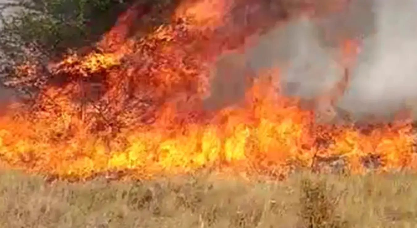 Vatra prijeti kućama u Nevesinju