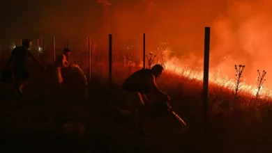 Požar u Grčkoj prošao kroz naselje Agija Skepi