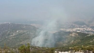 Vatrogasci: požari kod Trebinja pod kontrolom, sve snage ostaju na terenu