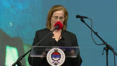 Majka Nevenka o pogibiji Siniše Dobrića u koloni