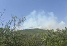 Požari kod Trebinja i dalje aktivni, situacija stabilna