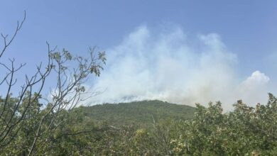 Požari kod Trebinja i dalje aktivni, situacija stabilna