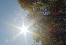 U RS i FBiH sutra vrlo vruć dan, temperature i do 41 stepen