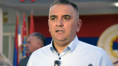 Minić: Odluka o Mladiću je neljudska odmazda