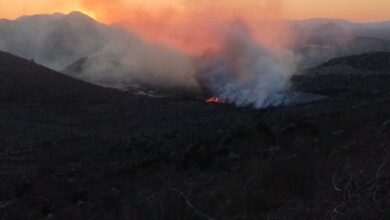 Požari u Srbiji: Najteža situacija na planini Stolovi