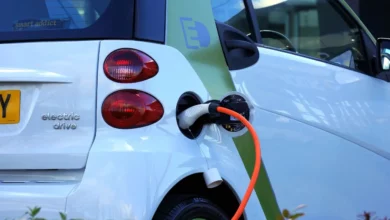 Problemi sa elektromobilima: Šta se dešava u Francuskoj?