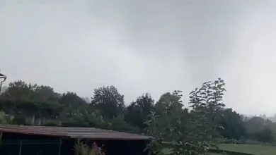 Tornado u Sloveniji odnio krovove sa farmi i oborio stabla