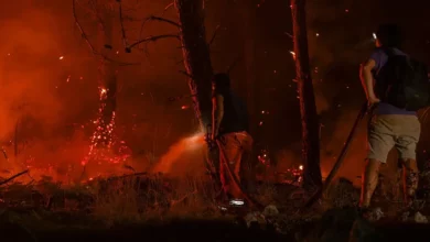 Šumski požar u Teksasu zahvatio više od 200 kvadratnih kilometara, naređena evakuacija