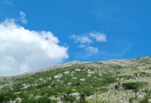 Pretežno sunčano i vruće uz popodnevne pljuskove