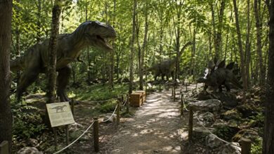 Dino park na Trapistima izazvao podijeljene komentare