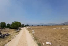 Požar na Morinama širi se, naselja zasad sigurna