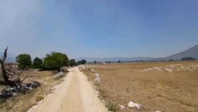 Požar na Morinama širi se, naselja zasad sigurna