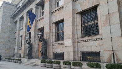 Smanjen priliv direktnih stranih investicija u BiH u 2025. godini