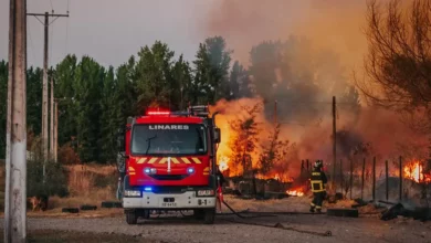Požar na Šipanu: Vatru gase kanaderi na nepristupačnom terenu