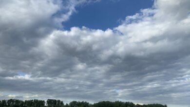 Najava meteorologa: Do 40 stepeni, pa nagli pad temperature