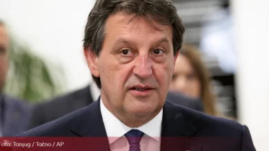 Bratislav Gašić: Drina nije granica srpskog naroda