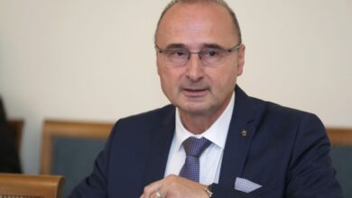 Grlić Radman: hrvatska izborna jedinica ne prijeti opstanku BiH