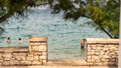 Stablo palo na kupače u Crikvenici