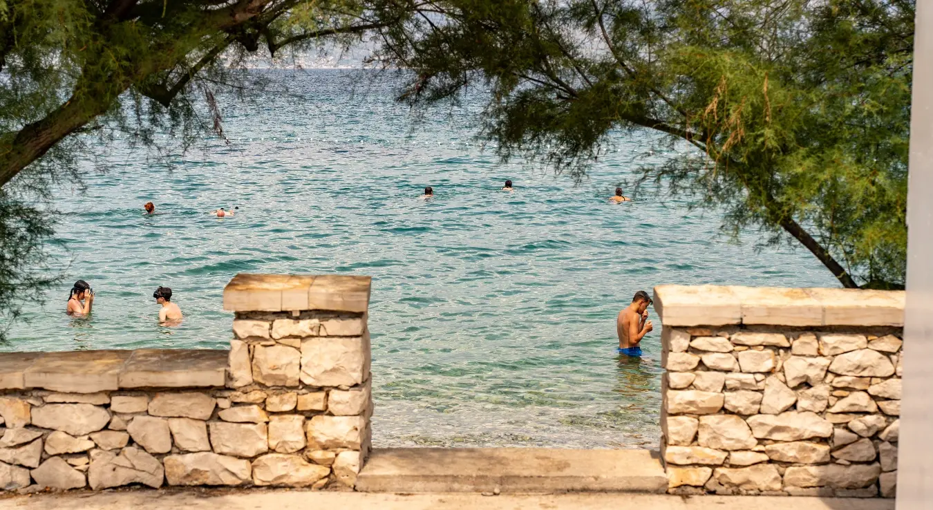 Stablo palo na kupače u Crikvenici