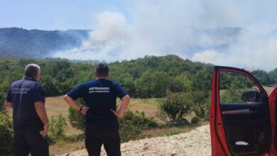 Požar kod Trebinja lokalizovan, vatra pod kontrolom