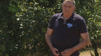 Šljiva je simbol srpstva, poručio Dodik