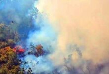 Požar kod Herceg Novog: Jutros se situacija poboljšala