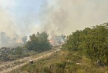 Požar kod Trebinja izmakao kontroli, jak vjetar otežava gašenje