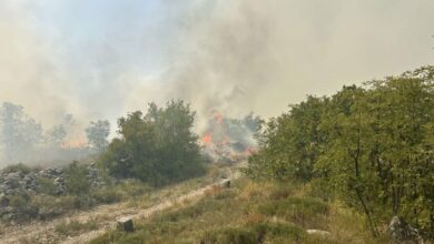 Požar kod Trebinja izmakao kontroli, jak vjetar otežava gašenje