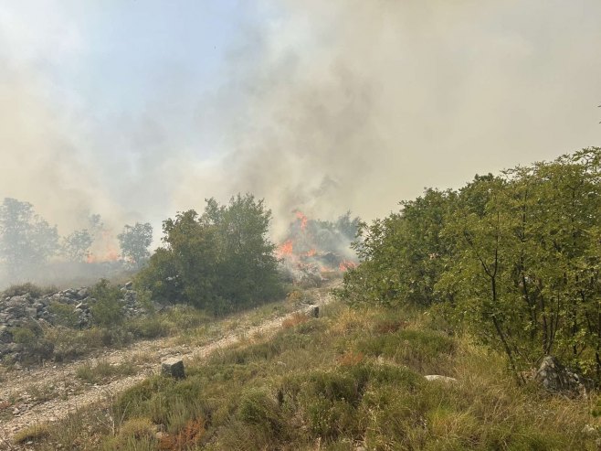 Požar kod Trebinja izmakao kontroli, jak vjetar otežava gašenje
