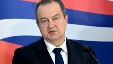 Dačić: Broj žarišta u Deliblatskoj peščari smanjen sa 64 na tri, nema žrtava