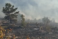 Vatrogasci: požar na Trebeviću pod kontrolom