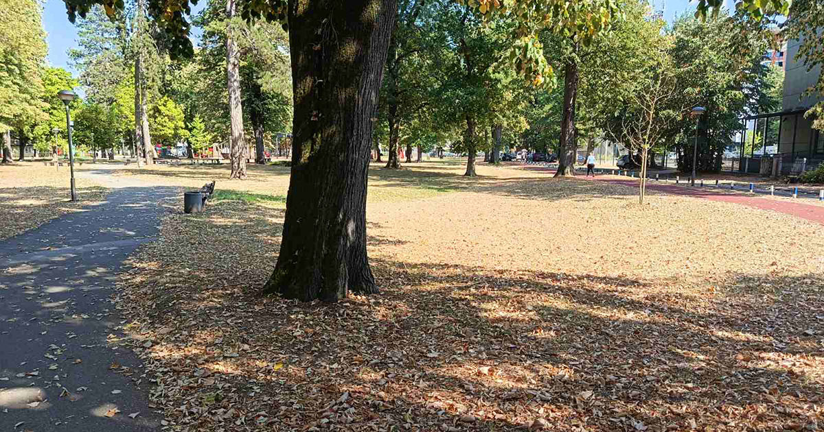 Toplotni talas: ljeto u Banjaluci izgleda kao kasna jesen