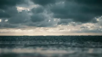 Pijavica na Korčuli snimljena ispred Gradine