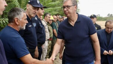 Vučić: požar u Deliblatskoj peščari izazvao veliku štetu, životi i imovina sačuvani