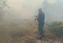 Vatrogasci stavili pod kontrolu požar u Volujcu