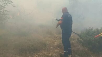 Vatrogasci stavili pod kontrolu požar u Volujcu