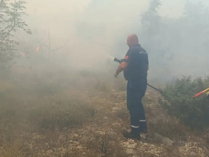 Vatrogasci stavili pod kontrolu požar u Volujcu