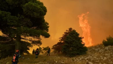 Požar na Zakintosu: Vatrogasci i dobrovoljci gase vatru kod Maratijasa