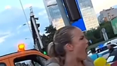 Osa ubola novinarku Teu Mihanović u vrat tokom javljanja uživo
