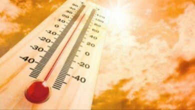 Toplotni talas stiže, temperature i do 41 stepen
