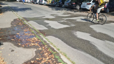 Na Starčevici voda danima teče ulicama, Mandić upozorio na nemar