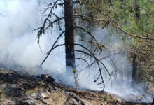 Požari kod Sanskog Mosta i Bosanskog Grahova i dalje aktivni