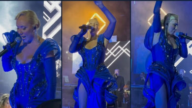 Lepa Brena pala na sceni na koncertu u Budvi