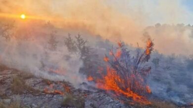Požar kod Gacka: Na terenu sve raspoložive jedinice