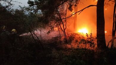 Veliki požar kod Herceg Novog prijeti kućama i crkvi