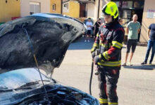 Banjalučki vatrogasci imali 15 intervencija: Gorjeli automobil, šuma i kontejneri