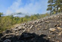 Požari kod Trebinja i dalje aktivni, vatra prijeti Bijeloj gori