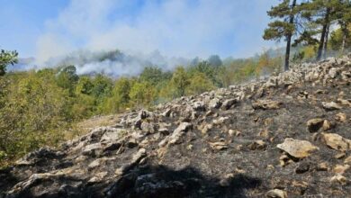 Požari kod Trebinja i dalje aktivni, vatra prijeti Bijeloj gori