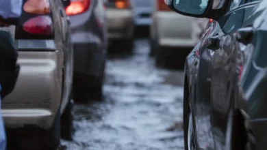Gužve na graničnim prelazima, AMS upozorava na velike vrućine